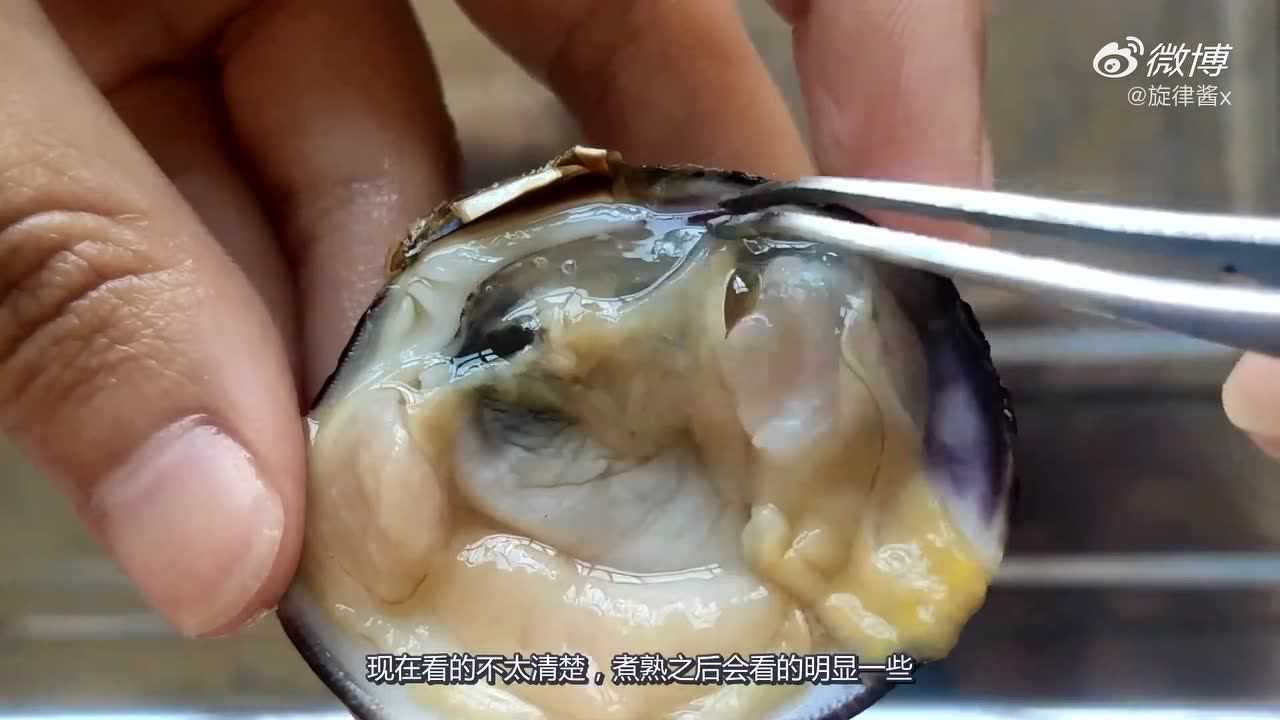 解刨牡蛎和蛤蜊