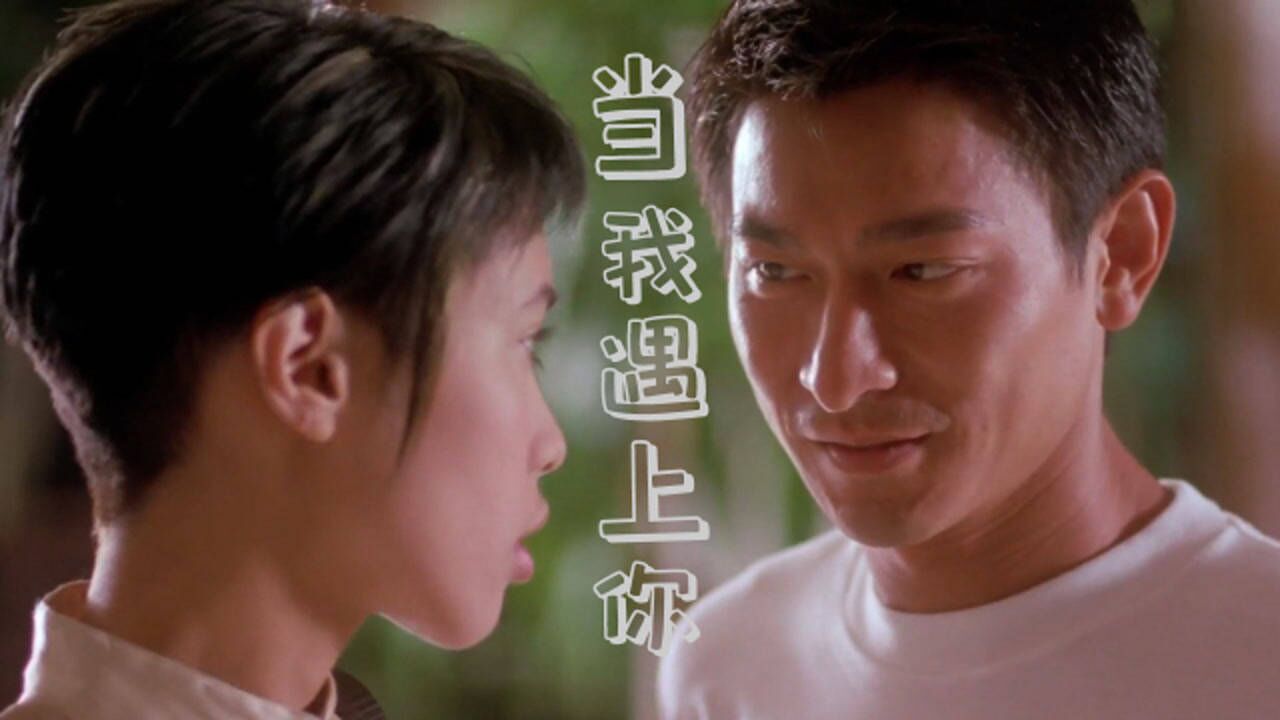 刘德华一首《当我遇上你》阿虎主题曲,无限循环,唱作俱佳的经典
