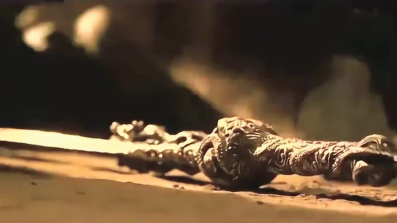 甄子丹饰演楚昭南使游龙剑大战孙红雷人剑合一好剑法