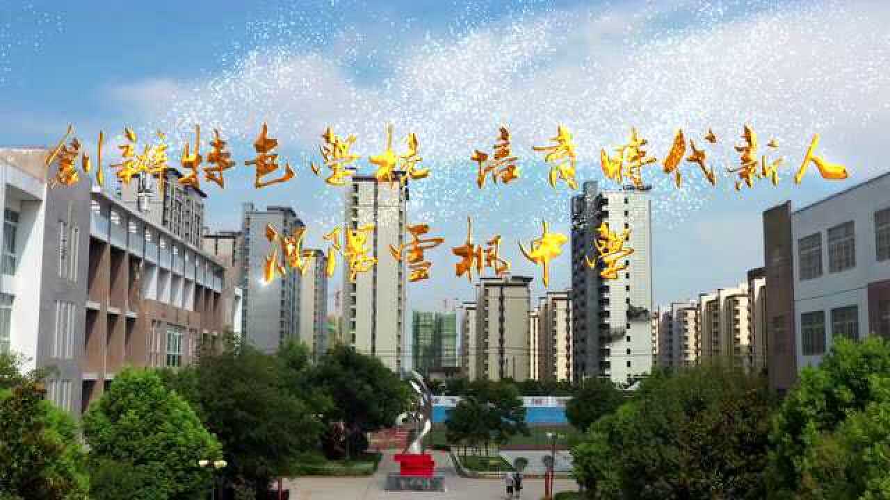 安徽省涡阳县雪枫中学图片