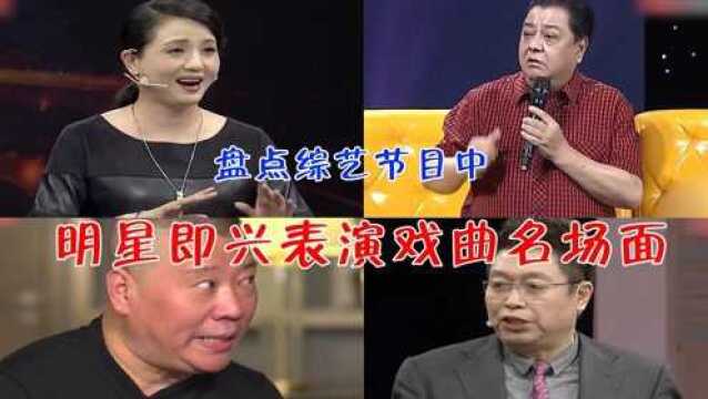 盘点综艺中即兴戏曲名场面:王为念现场即兴表演黄梅戏,太好听了