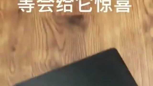 活的还不如狗系列,这年头连狗子都有aj穿了,你的aj呢?