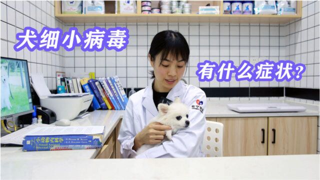 犬细小病毒病,都有什么症状?