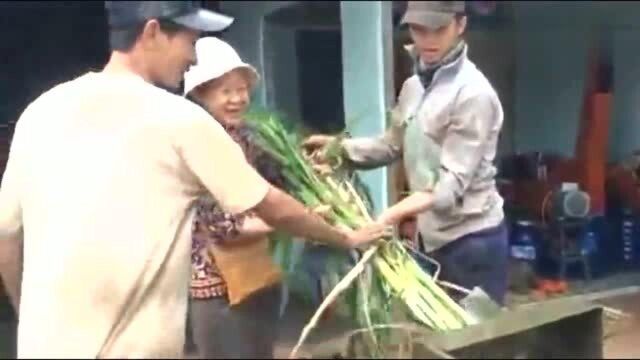 在农村买这台机器动力强劲就算养一千只羊草料都不是问题