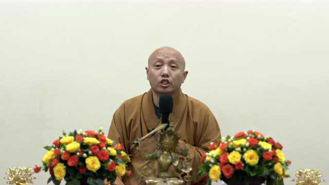 [觉照之心]-悟光法师开示#是心动的感觉