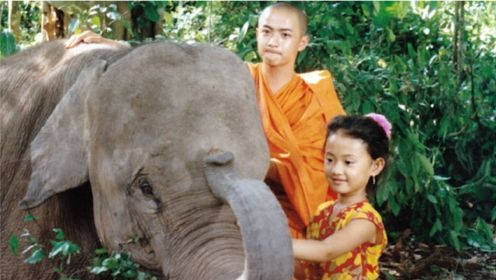《小象西纳》：兄妹二人养了一头小象，外公看见后做出了奇怪举动