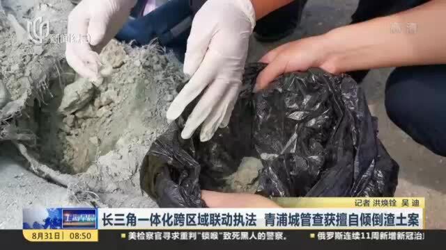 长三角一体化跨区域联动执法 青浦城管查获擅自倾倒渣土案