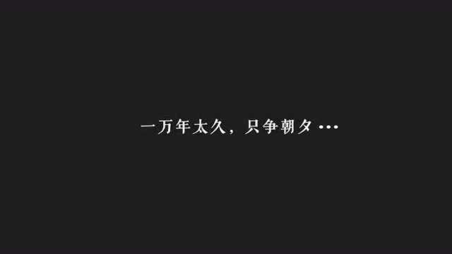 第一章:初见