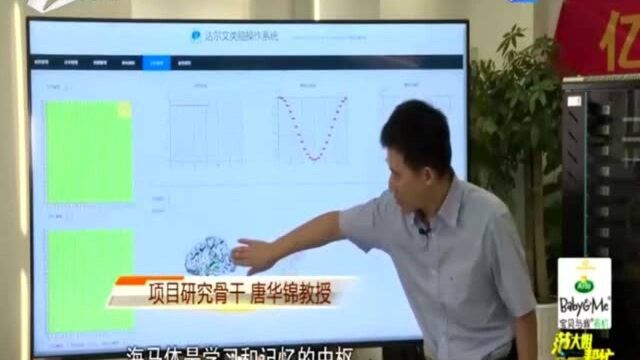 1.2亿脉冲神经元 让计算机像人类大脑一样“思考”