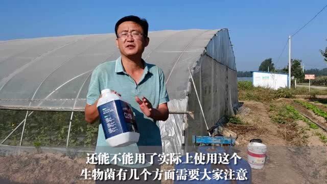 被误导多年,这才是用生物菌的正确方法,农民注意了