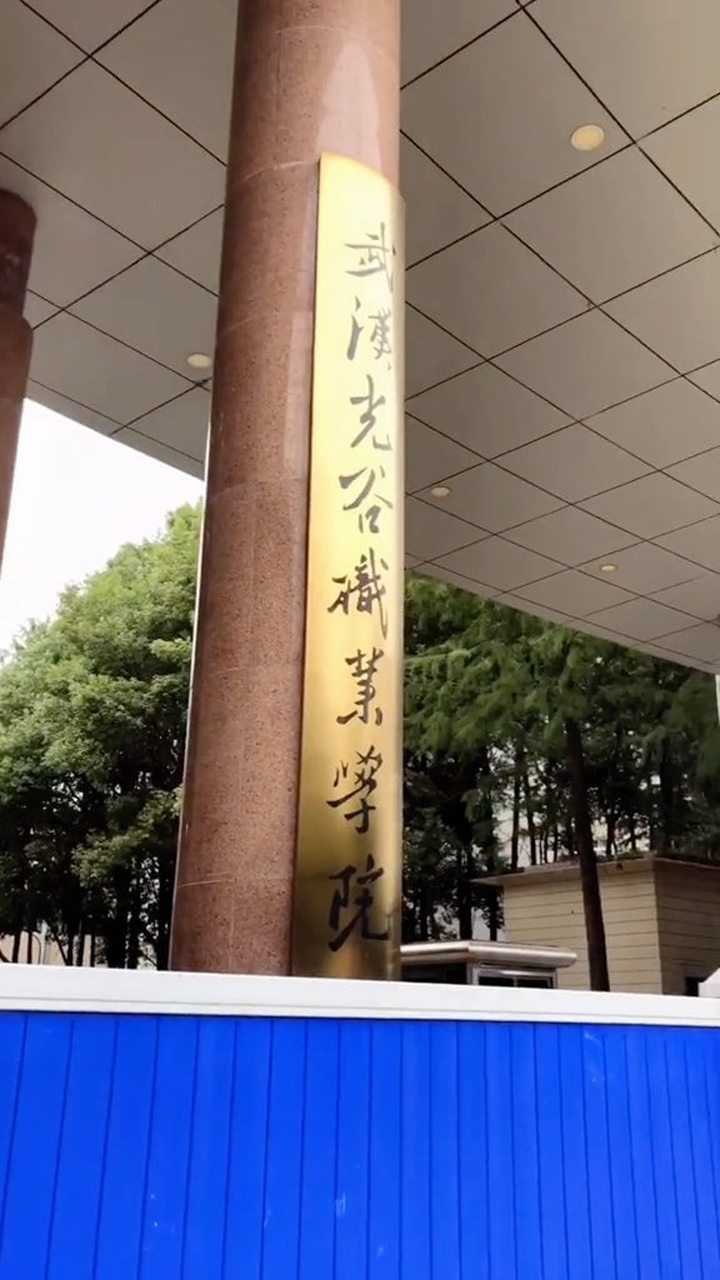 武漢光谷職業學院,曾經的中南財經政法大學武漢學院老校區.