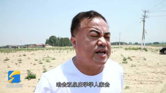 【小康之约】短视频:梦圆(下)