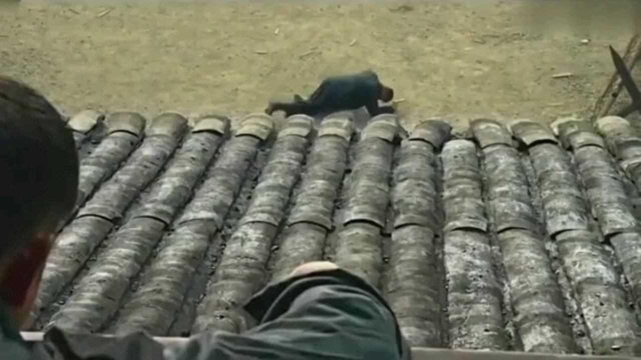 直接被活活打死,这也太狠了_高清1080P在线观看平台_腾讯视频