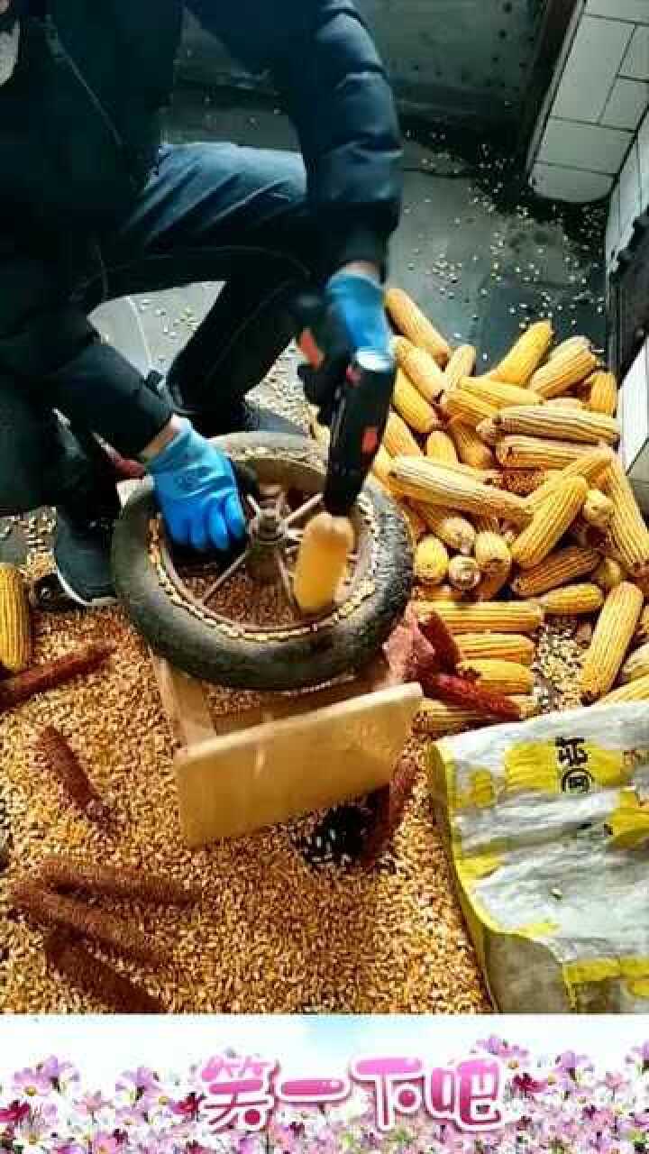 手电钻一秒变玉米脱粒神器五秒一个效率高真是高手在民间