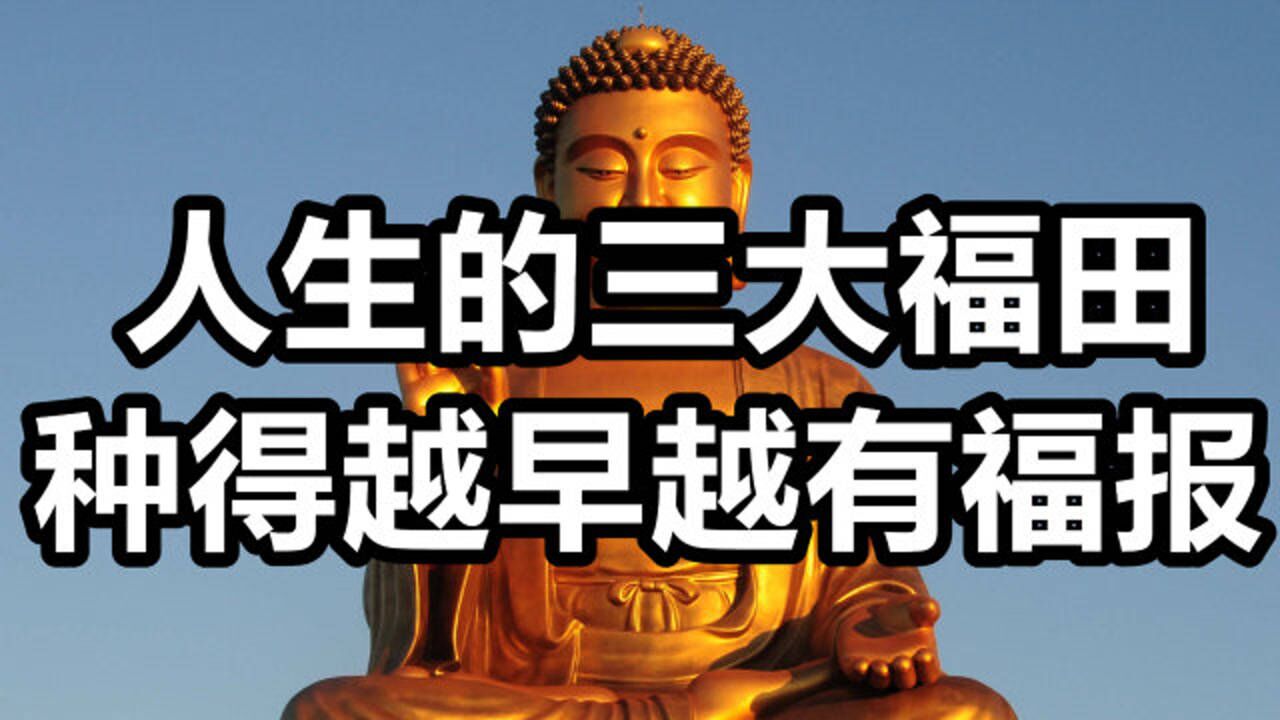 佛教:人生的三大福田,种的越早越好,越往后福报越多