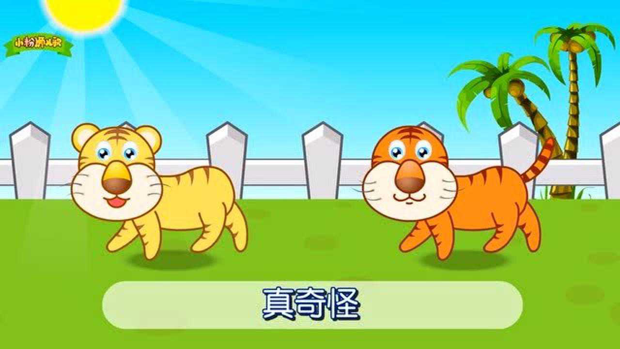 小粉狮经典儿歌 4集
