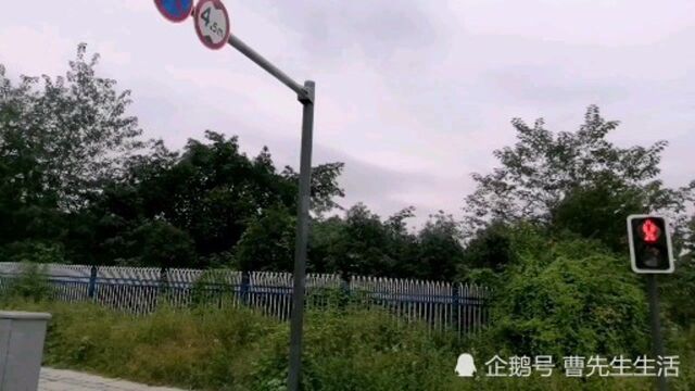 温江芙蓉大道,医学城、省中医院、华西医院温江院区所在地