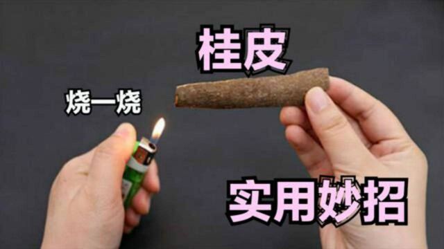 桂皮用打火机烧一烧,真是厉害了,懂的人还不多,解决家里烦恼事