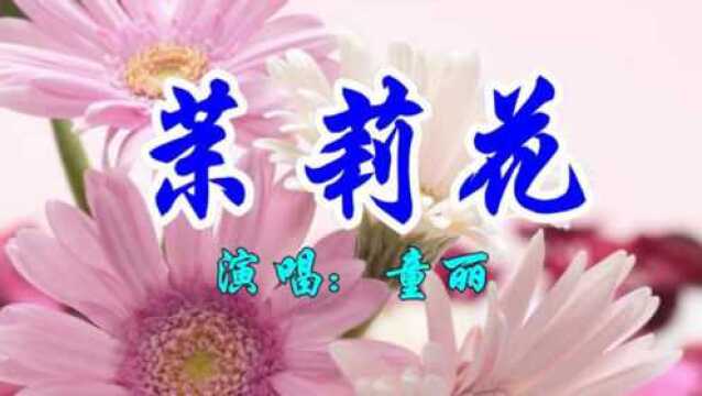 经典情歌,童丽一首《茉莉花》好听极了