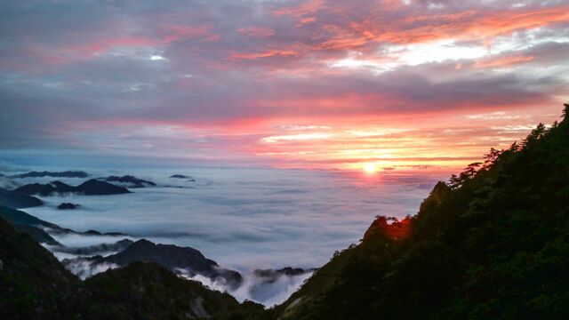 微视频:云上黄山 天外有天