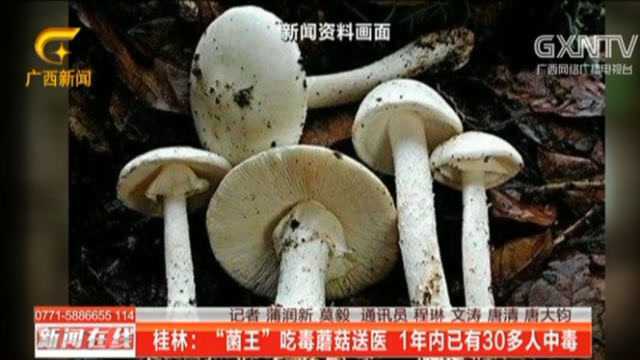 桂林:“菌王”吃毒蘑菇送医,1年内已有30多人中毒