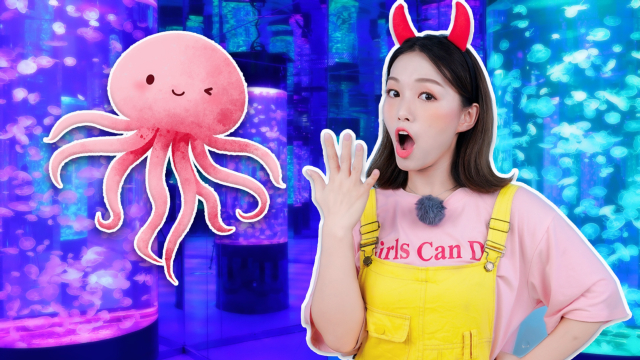 玩乐学堂 8集