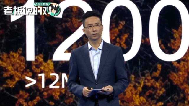 把一个国家都绿了!蚂蚁CEO:5亿人在支付宝种树,面积等于2个新加坡