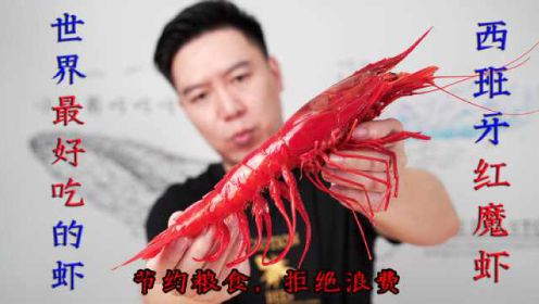 试吃西班牙红魔虾，比手臂还要长，4种吃法吃嗨了