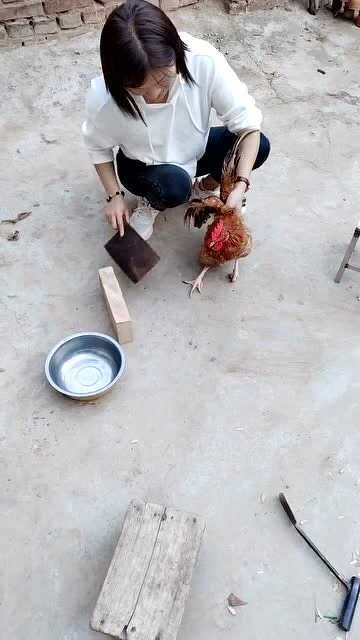 第一次杀鸡这是啥情况吓的我不敢下刀了