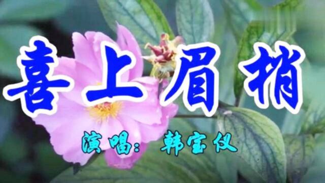 韩宝仪一首经典情歌《喜上眉梢》好听极了