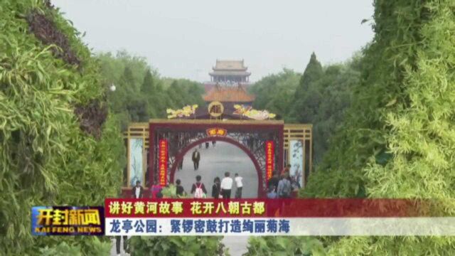 龙亭公园:紧锣密鼓打造绚丽菊海