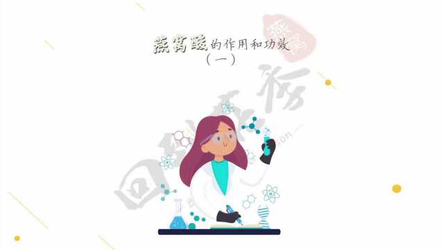 燕窝中最重要的就是这个!其作用和功效是什么?(一)