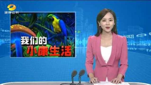 (我们的小康生活)南县罗文国际涂鸦艺术村:“夜经济”激活“烟火气”