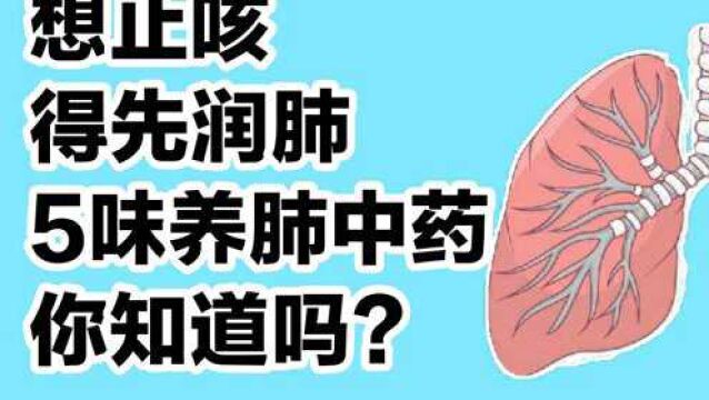 想止咳,得先润肺,5味养肺中药,你知道吗?