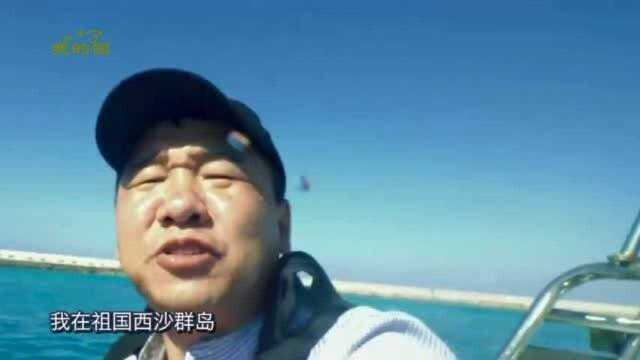 你看这海,多咸!海南发布三沙宣传片惹爆笑,网友:这海真的咸