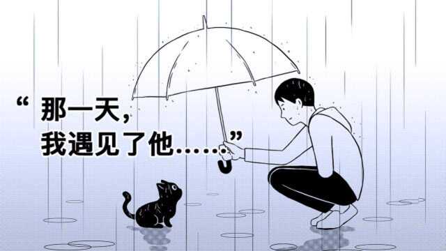 猫:“那一天,我遇见了他……”