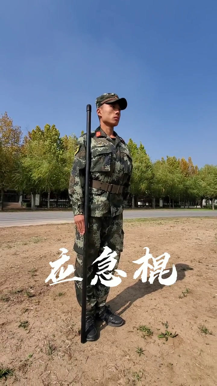 应急棍术动作,你喜欢那一招