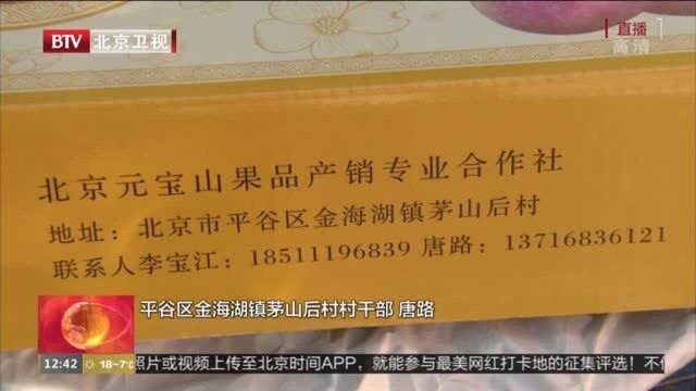 观光采摘全家齐上阵 硕果累累乐不停