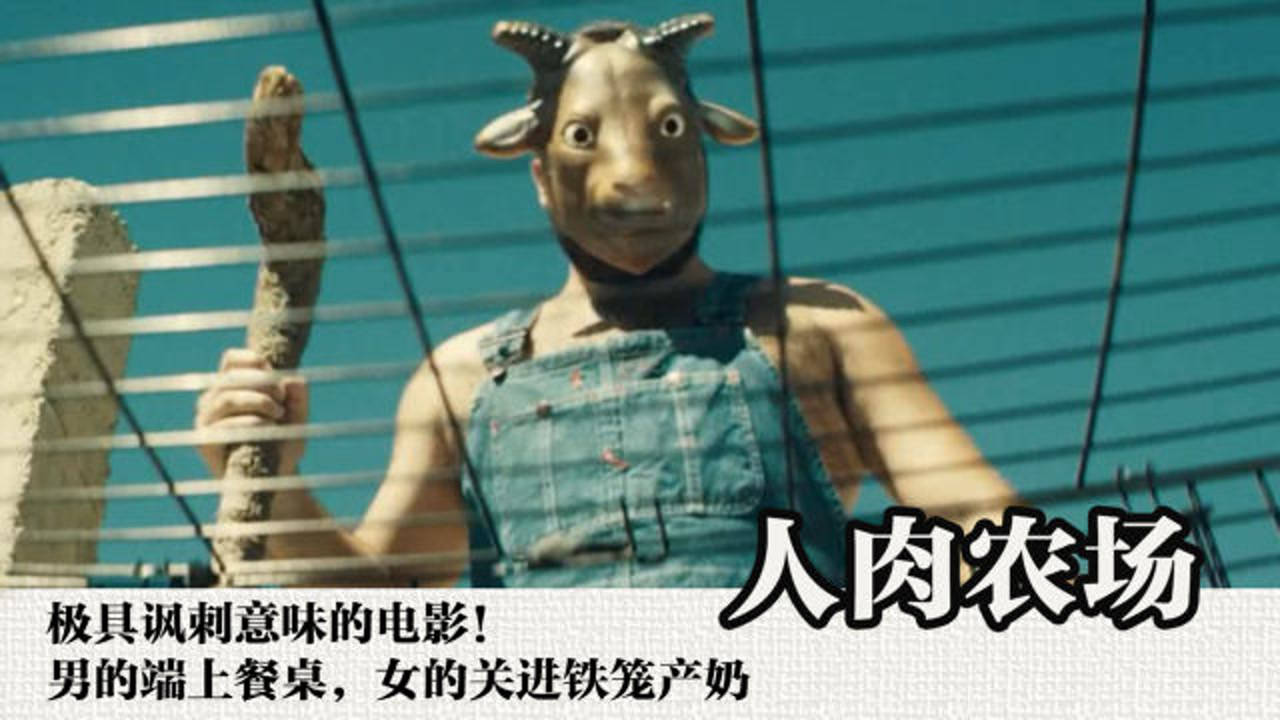 一部人类与动物互换身份的电影动物主宰一切时女性有多悲惨