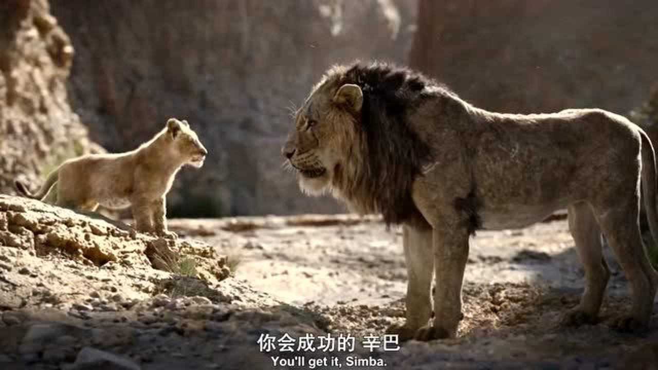 狮子王刀疤和鬣狗群开始自己的计划辛巴发现角马群突然出现在峡谷