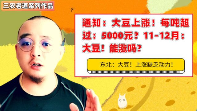 通知:大豆上涨!每吨超过:5000元?1112月:大豆!能涨吗?