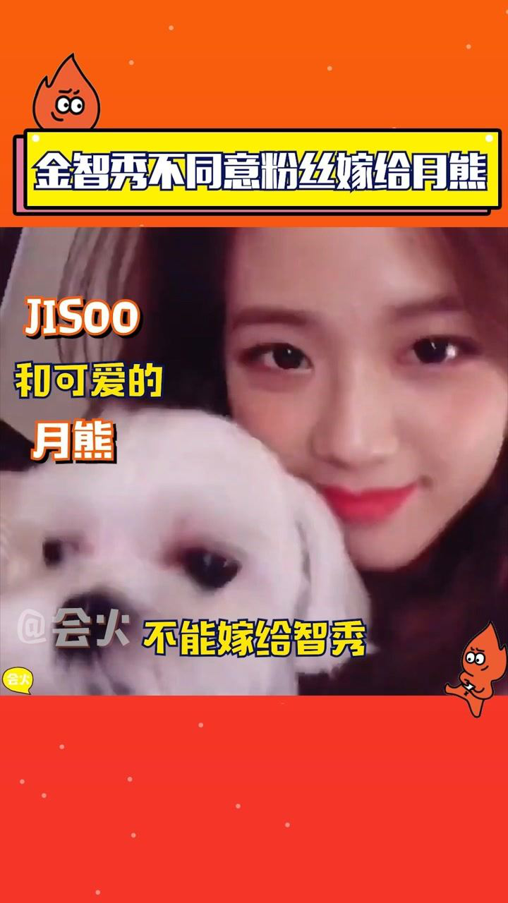 现在的粉丝嫁不成金智秀jisoo就要嫁给月熊lisa听完都笑了