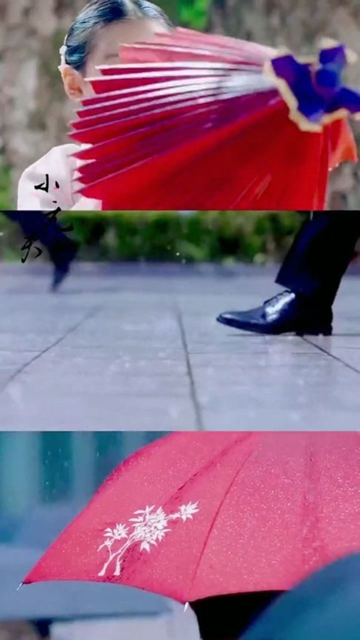九尾狐传下太阳雨是狐狸娶亲的日子九尾狐也是有真心的