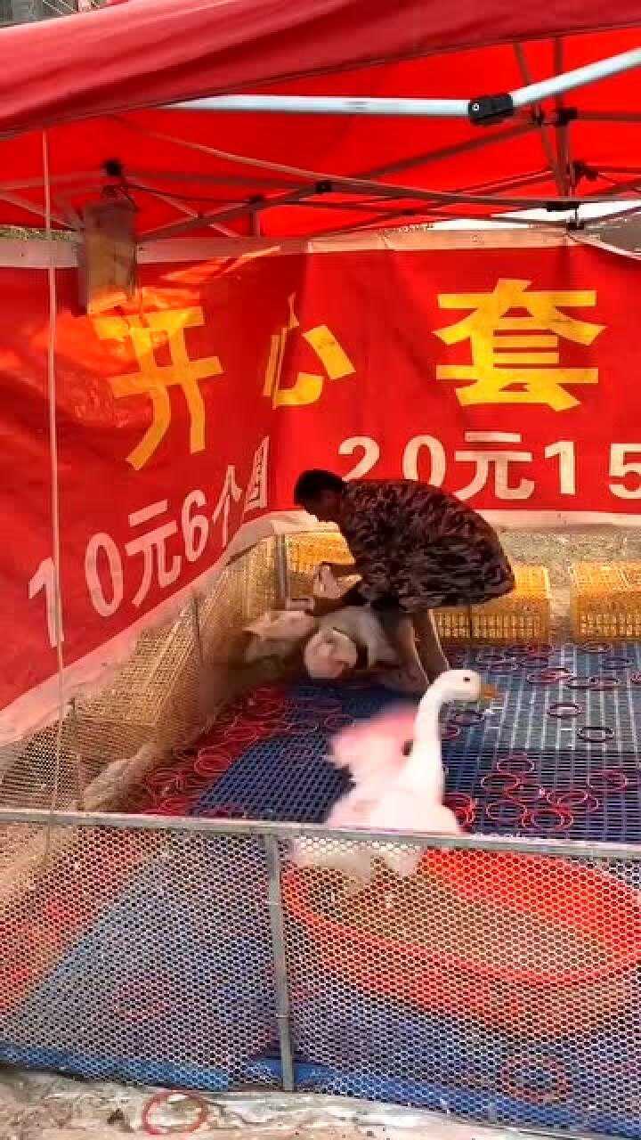 灵魂最美的音乐是善良天慈哥套圈百发百中气哭老板最后一刻却感动众人