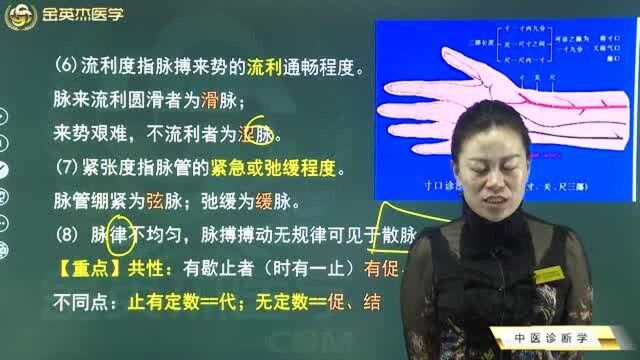 中医诊断学:脉诊八要素都有哪些你知道了吗?如何确定脉的位置及其规律?