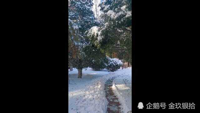 物业努力铲雪中