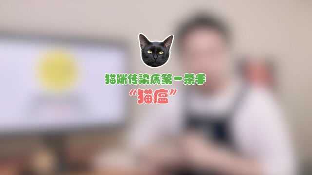 猫瘟:猫咪传染病第一杀手