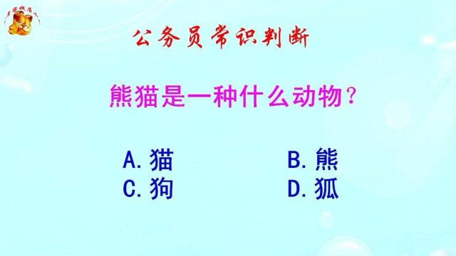 公务员常识判断,熊猫是一种什么动物?难倒了学霸