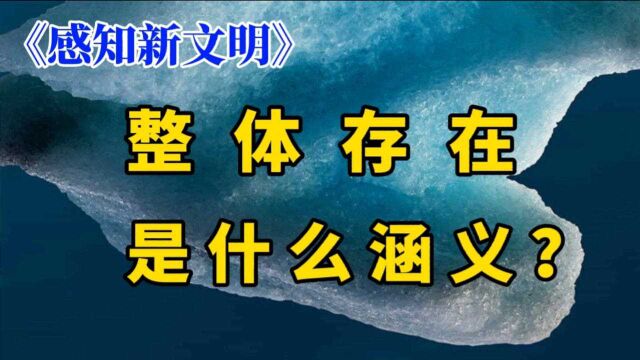 《感知新文明》:整体存在是什么涵义?