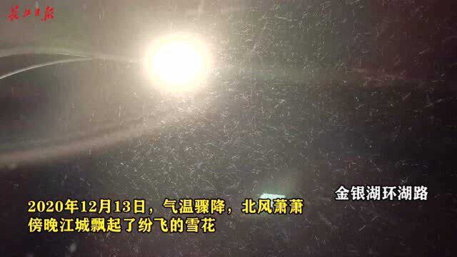 冬雪初降,雪花飞舞夜空中